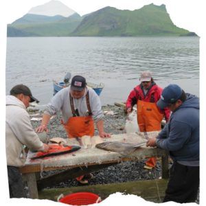 Alaska Natives preparing fresh fish
